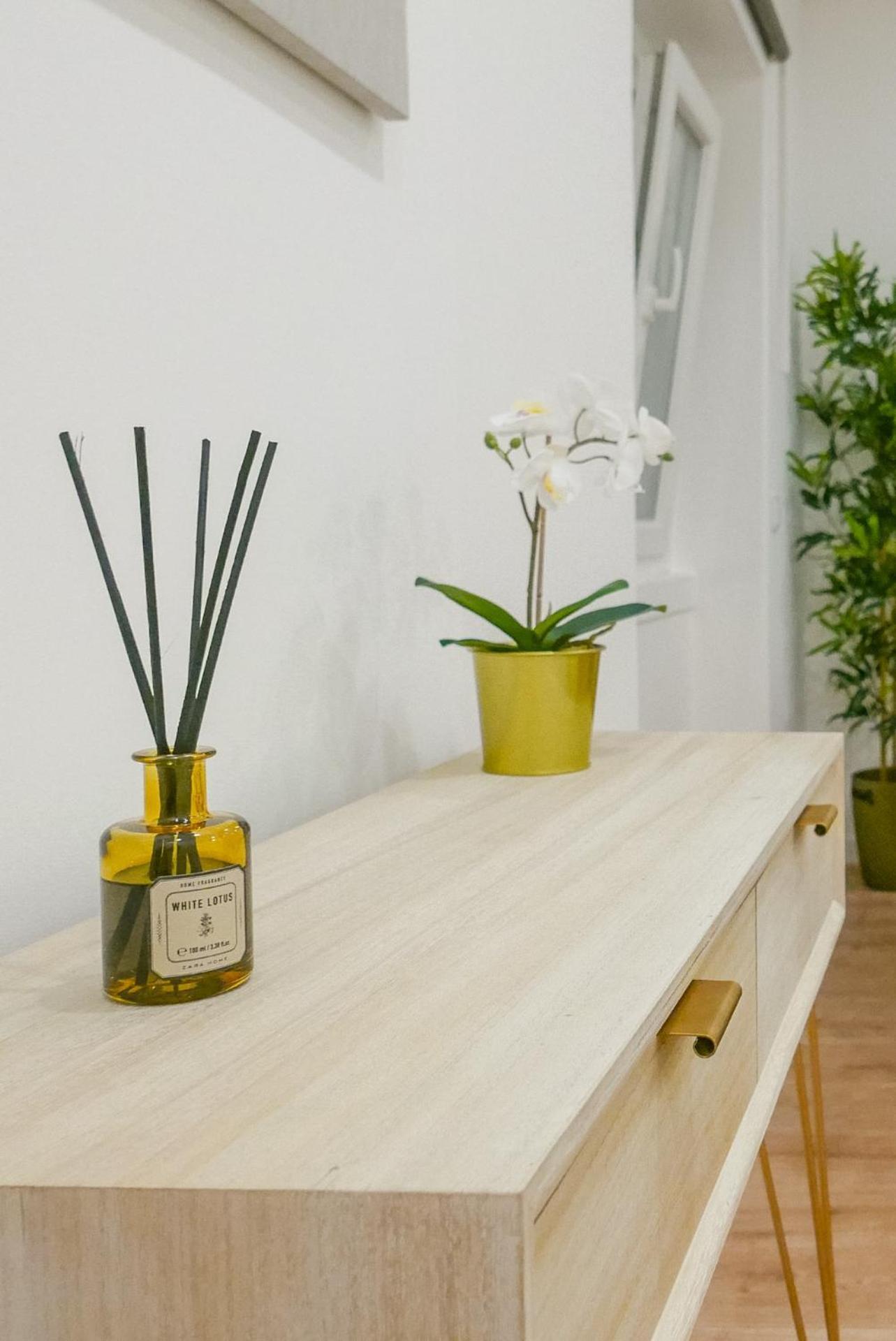 Green Charm House Lisboa المظهر الخارجي الصورة